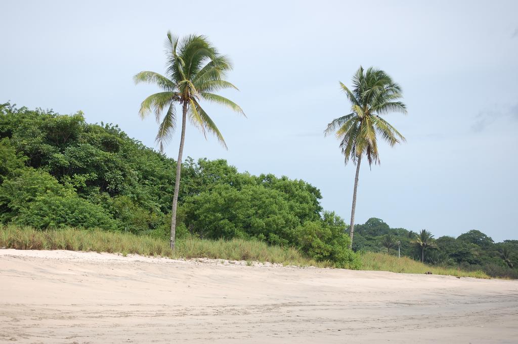 Teak Pacific Hotel Nosara Luaran gambar