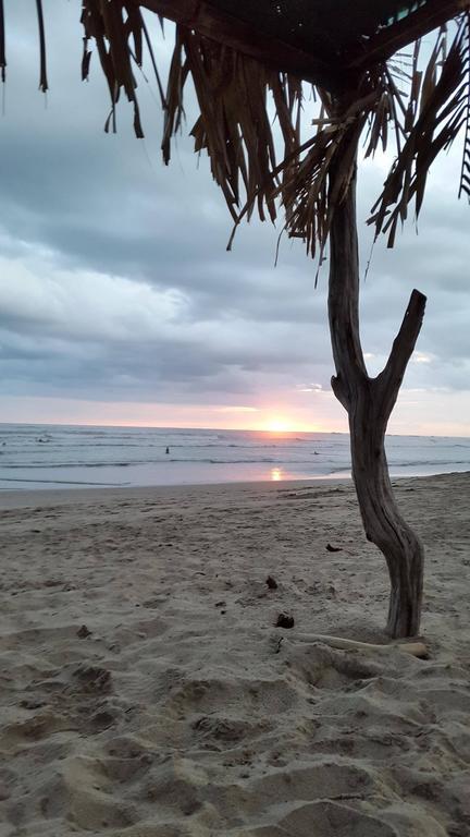 Teak Pacific Hotel Nosara Luaran gambar